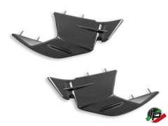 DBK Special Parts Carbon Winglets fr BMW S1000RR