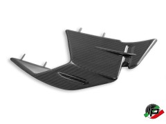 DBK Special Parts Carbon Winglets fr BMW S1000RR