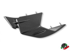 DBK Special Parts Carbon Winglets fr BMW S1000RR