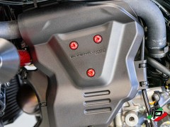 Ducabike Schraubenset Motorabdeckung links fr Ducati Hypermotard 698 Mono